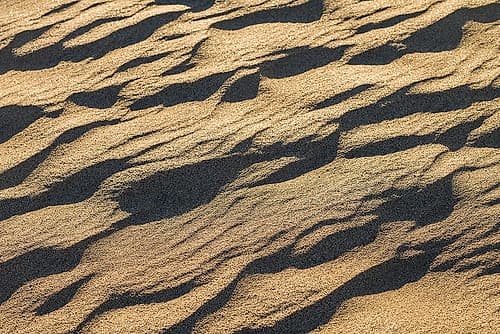 Spain-Canary Islands-Gran Canaria Island-Maspalomas-Maspalomas Dunes National Park Landscape Print